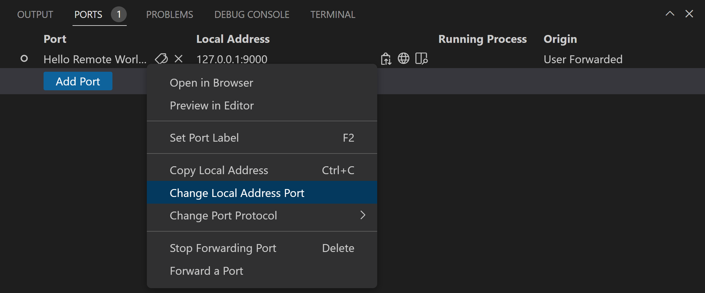 Change Local Address Port