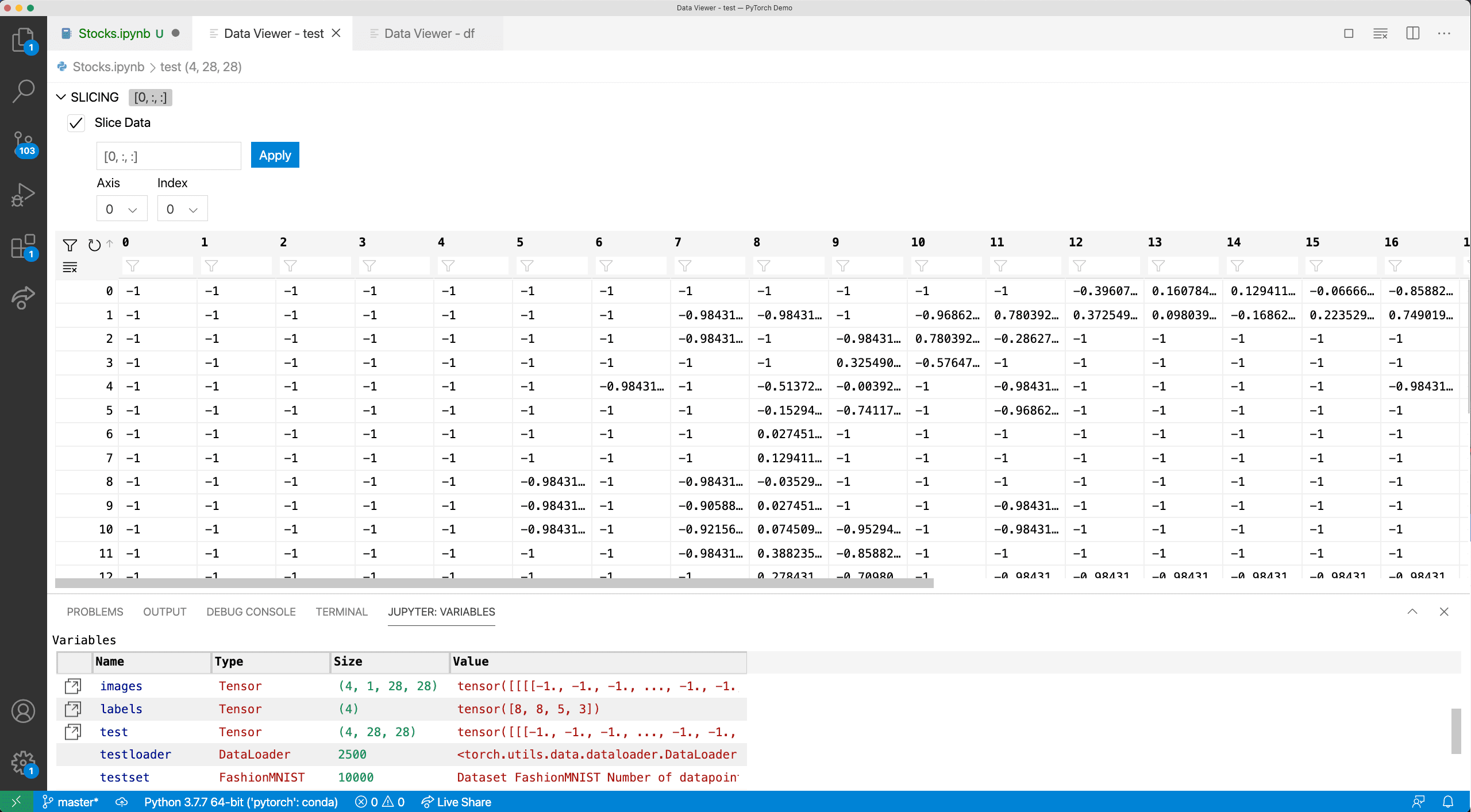 Data Viewer with data slices and tensors