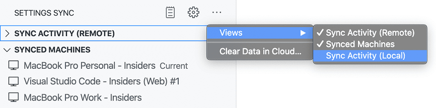 Settings Sync enable local backup views